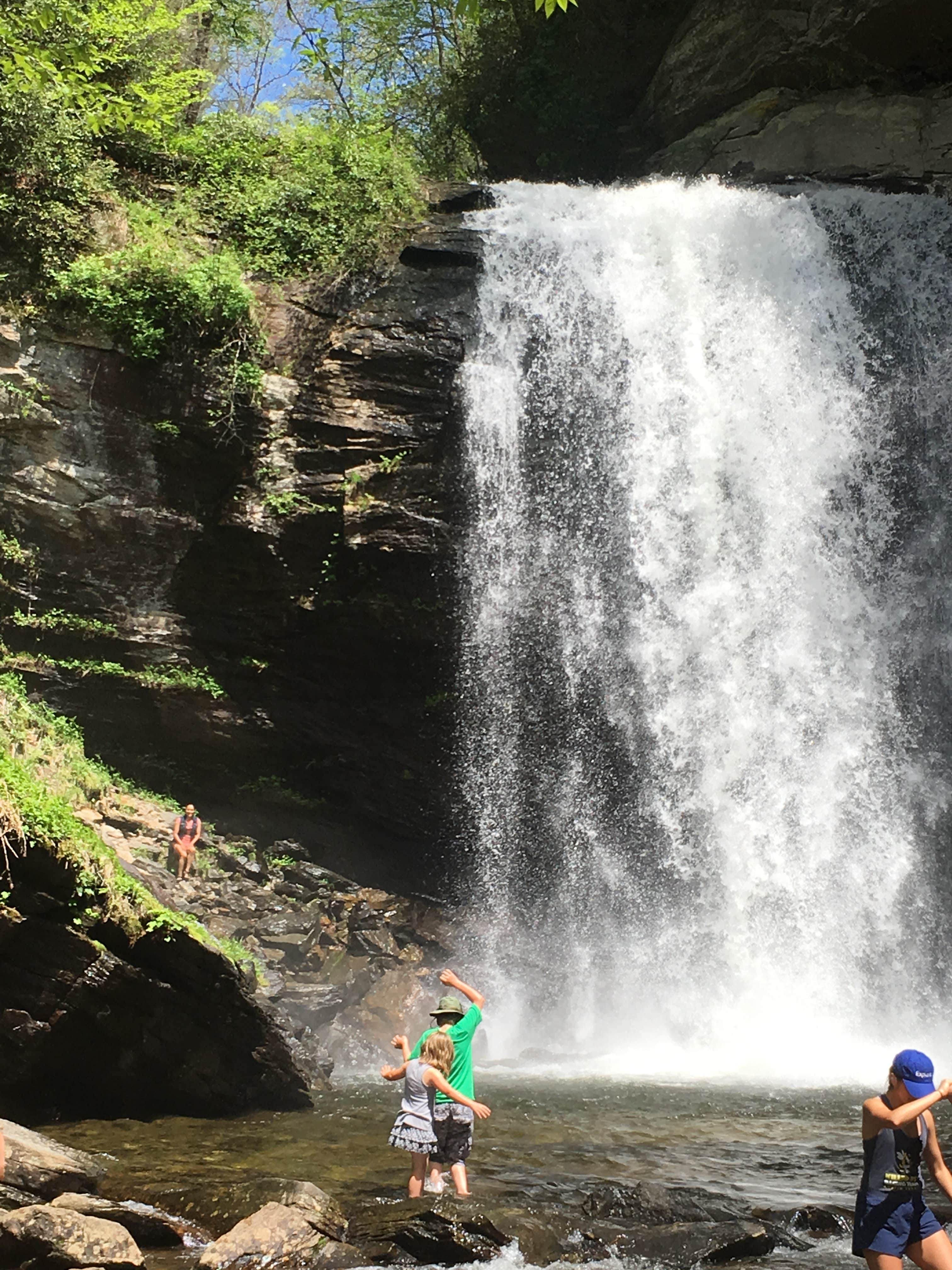 Looking Glass Falls