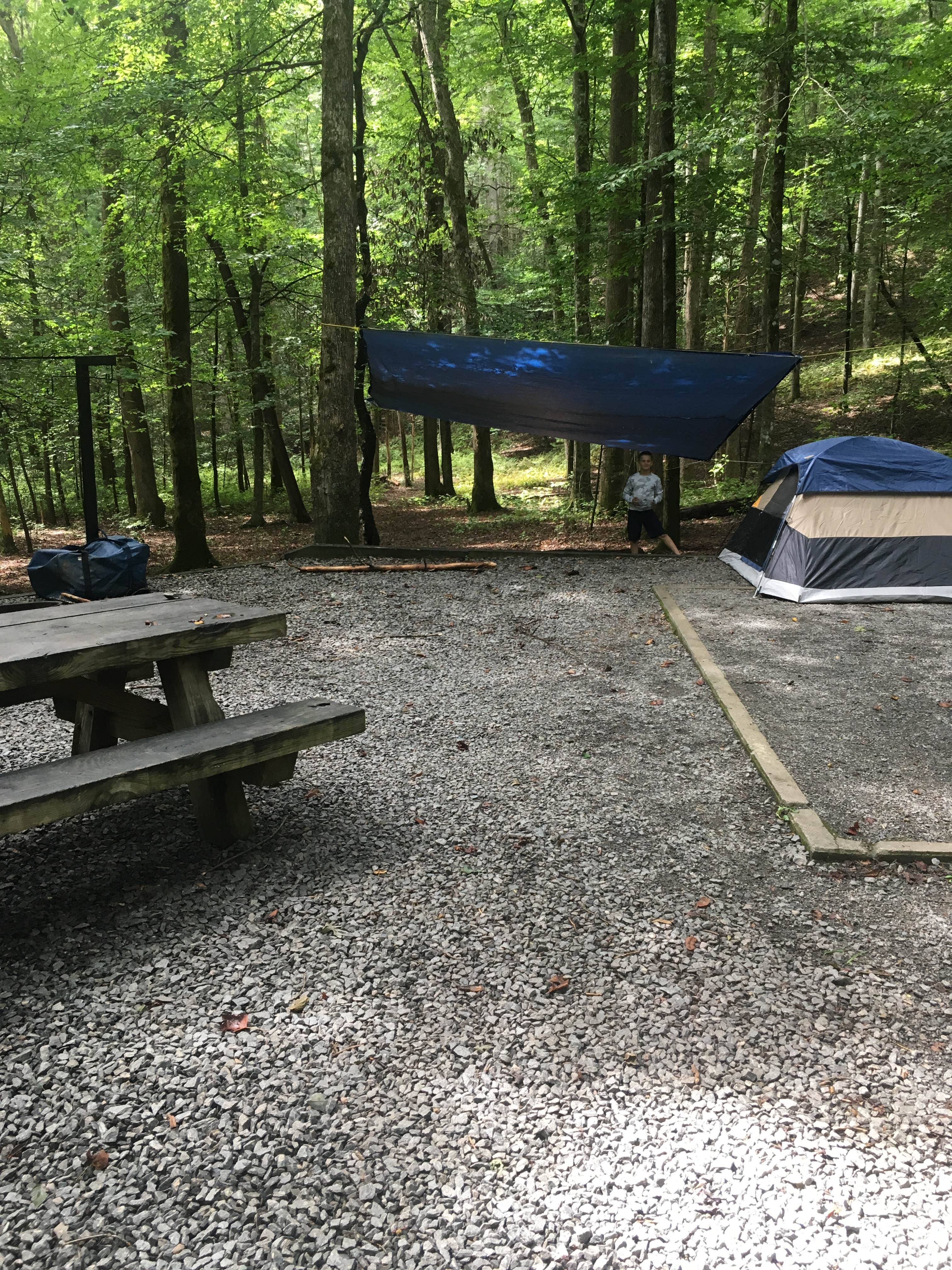 Todd R.'s photo at Davidson River Campground near Horse Shoe, NC
