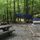Review photo of Davidson River Campground by Todd R., August 5, 2019