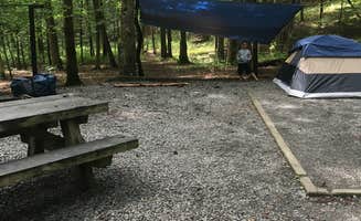 Todd R.'s photo at Davidson River Campground near Horse Shoe, NC