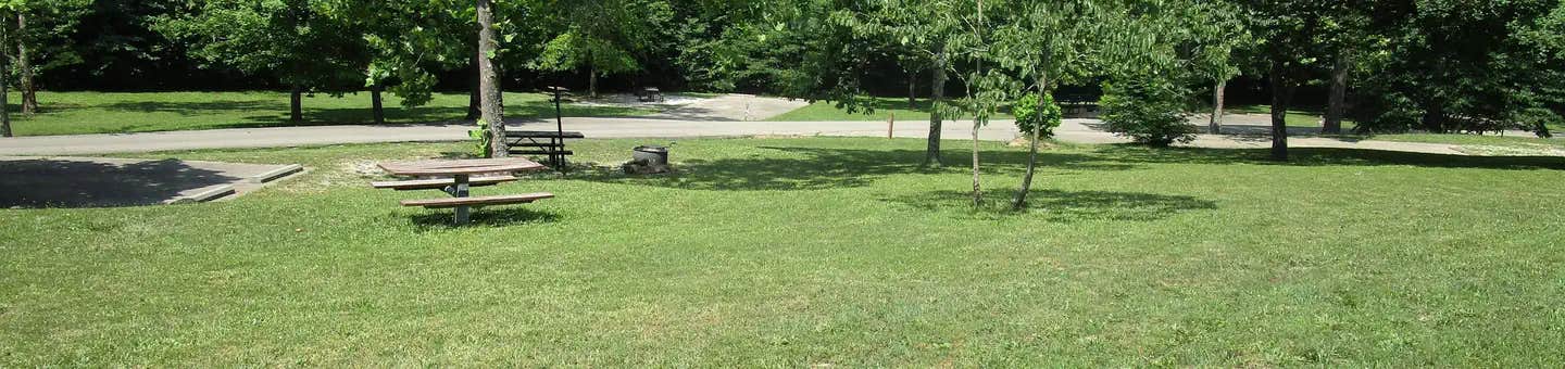 Camper submitted image from Sutton Bluff Recreation Area - 1