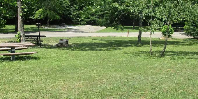 Camper submitted image from Sutton Bluff Recreation Area