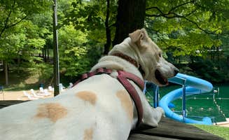 Justin L.'s photo of camping with pets at Dogwood Valley Campground near Galena, OH