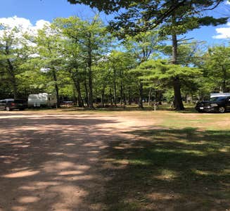 Camper-submitted photo from Lynn Ann's Campground