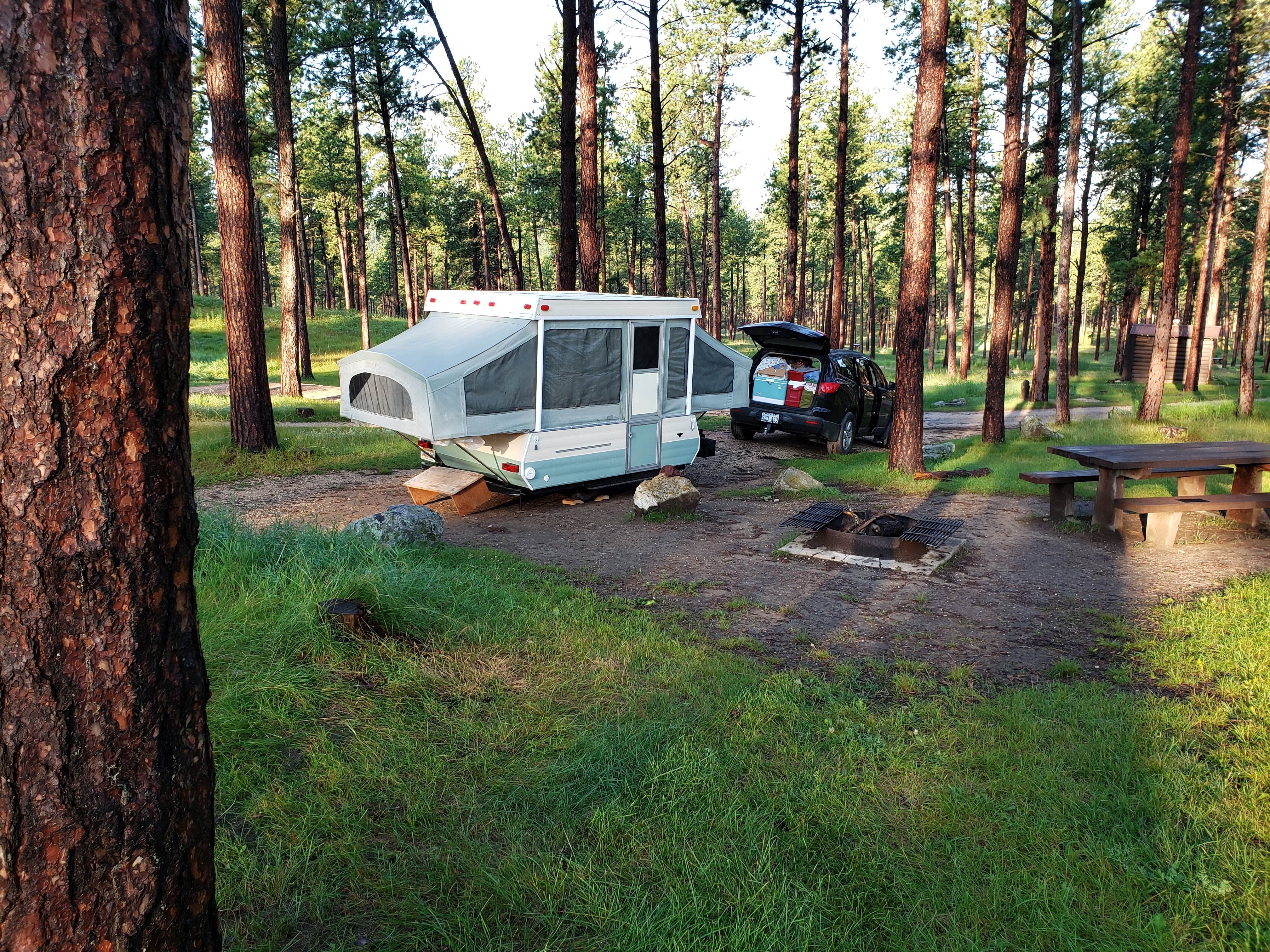 Camper submitted image from Comanche Park - 5