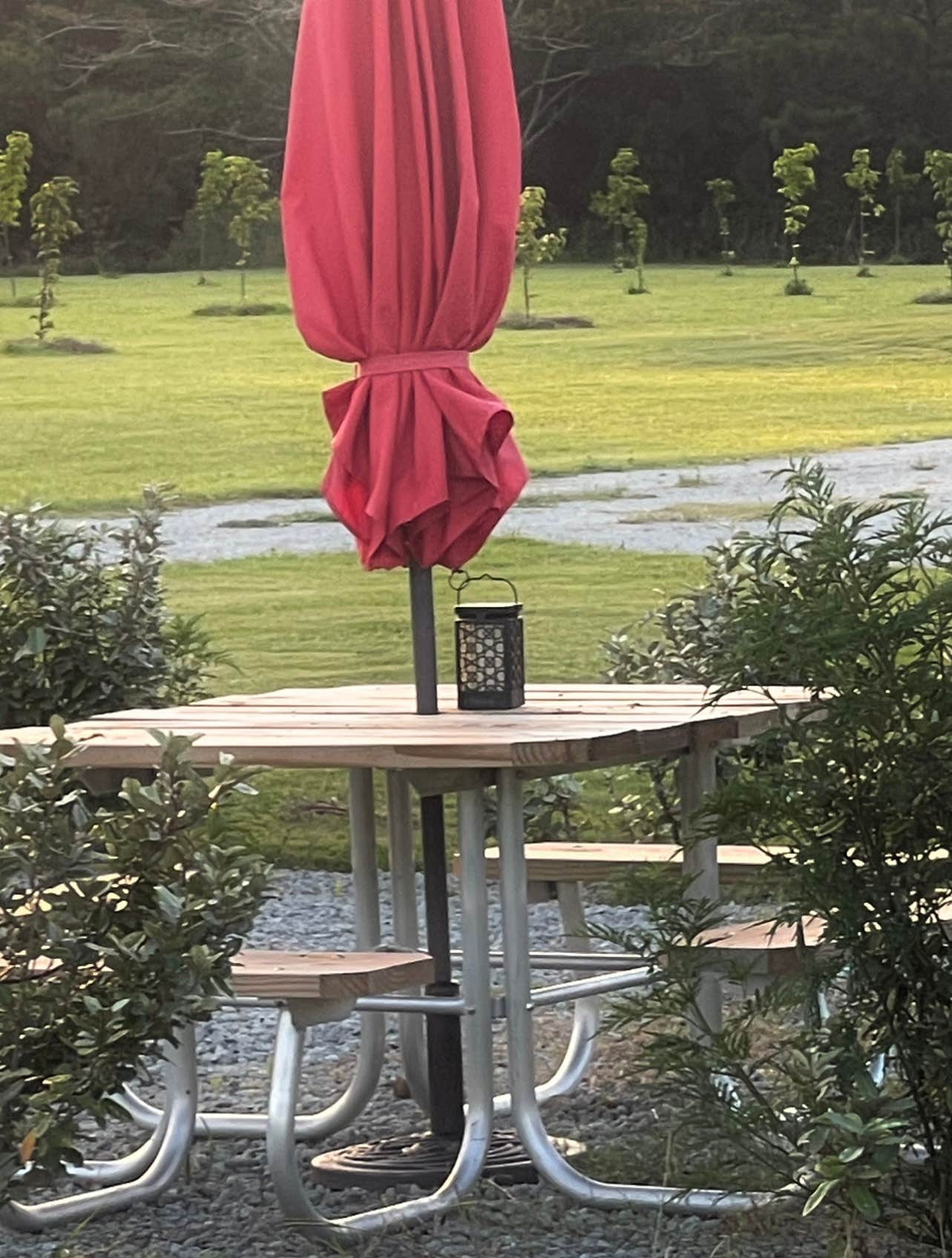 Camper submitted image from Hidden Orchard Campground - 2