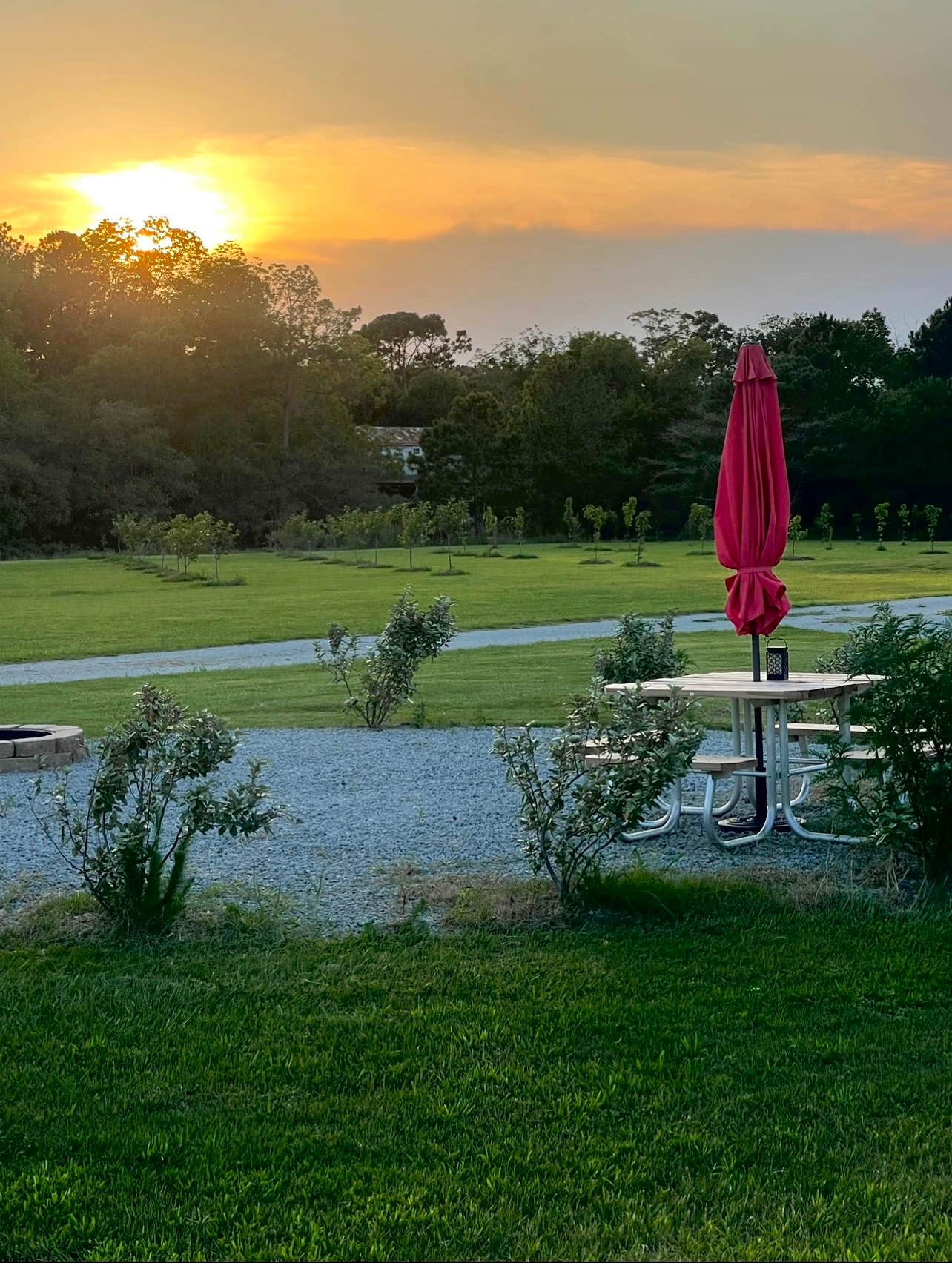 Camper-submitted photo at Hidden Orchard Campground near Swan Quarter, NC