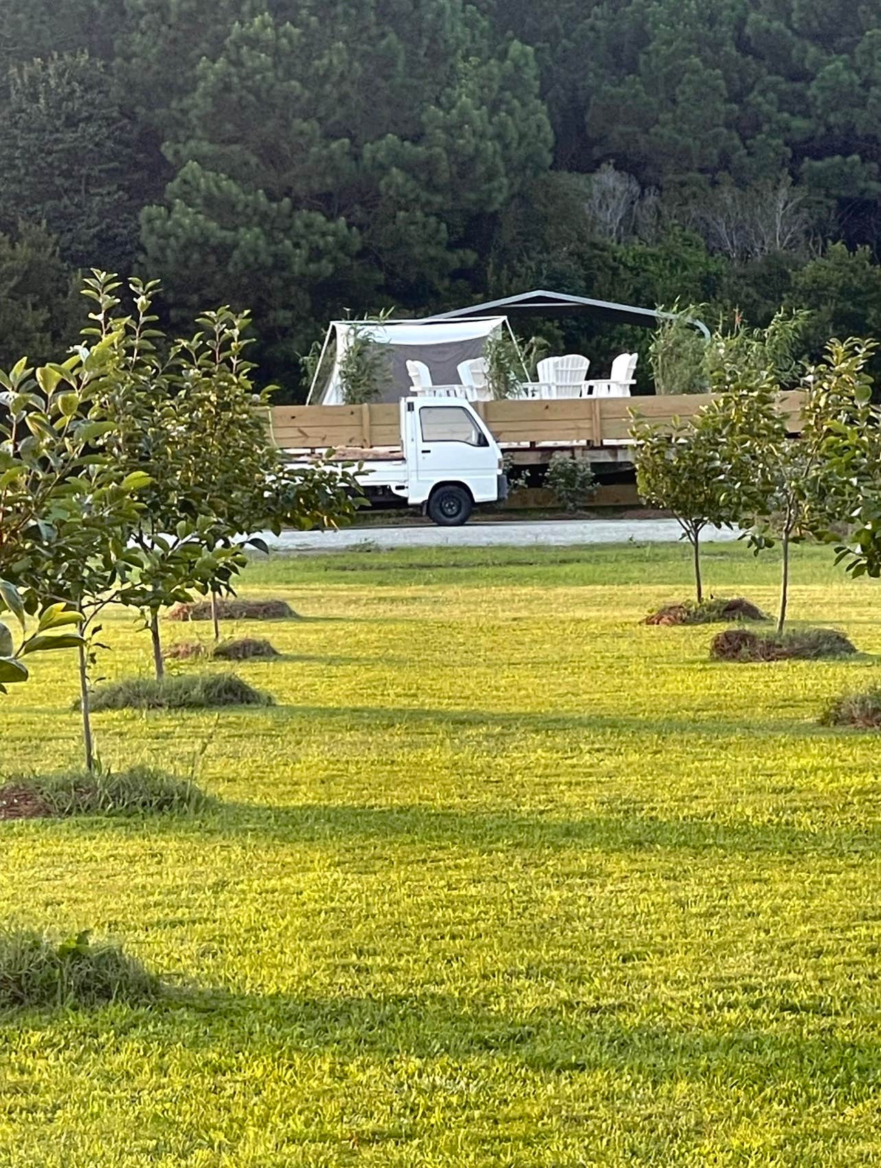 Camper-submitted photo at Hidden Orchard Campground near Swan Quarter, NC