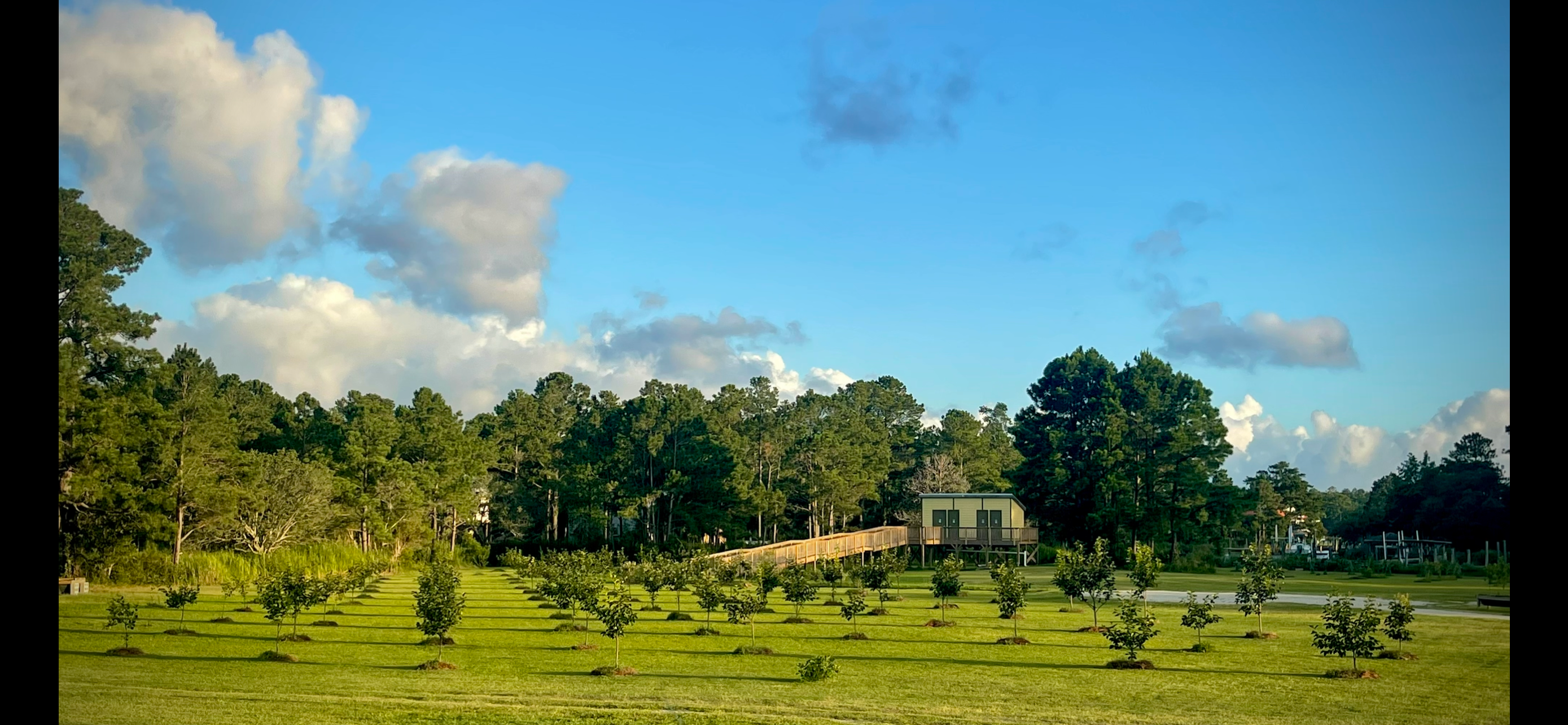 Camper-submitted photo at Hidden Orchard Campground near Swan Quarter, NC