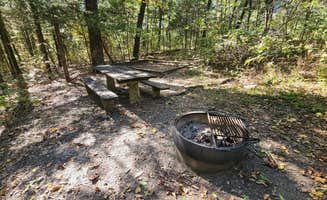 Fred S.'s photo at Hercules Glades (Watch Tower) near Greeson Lake