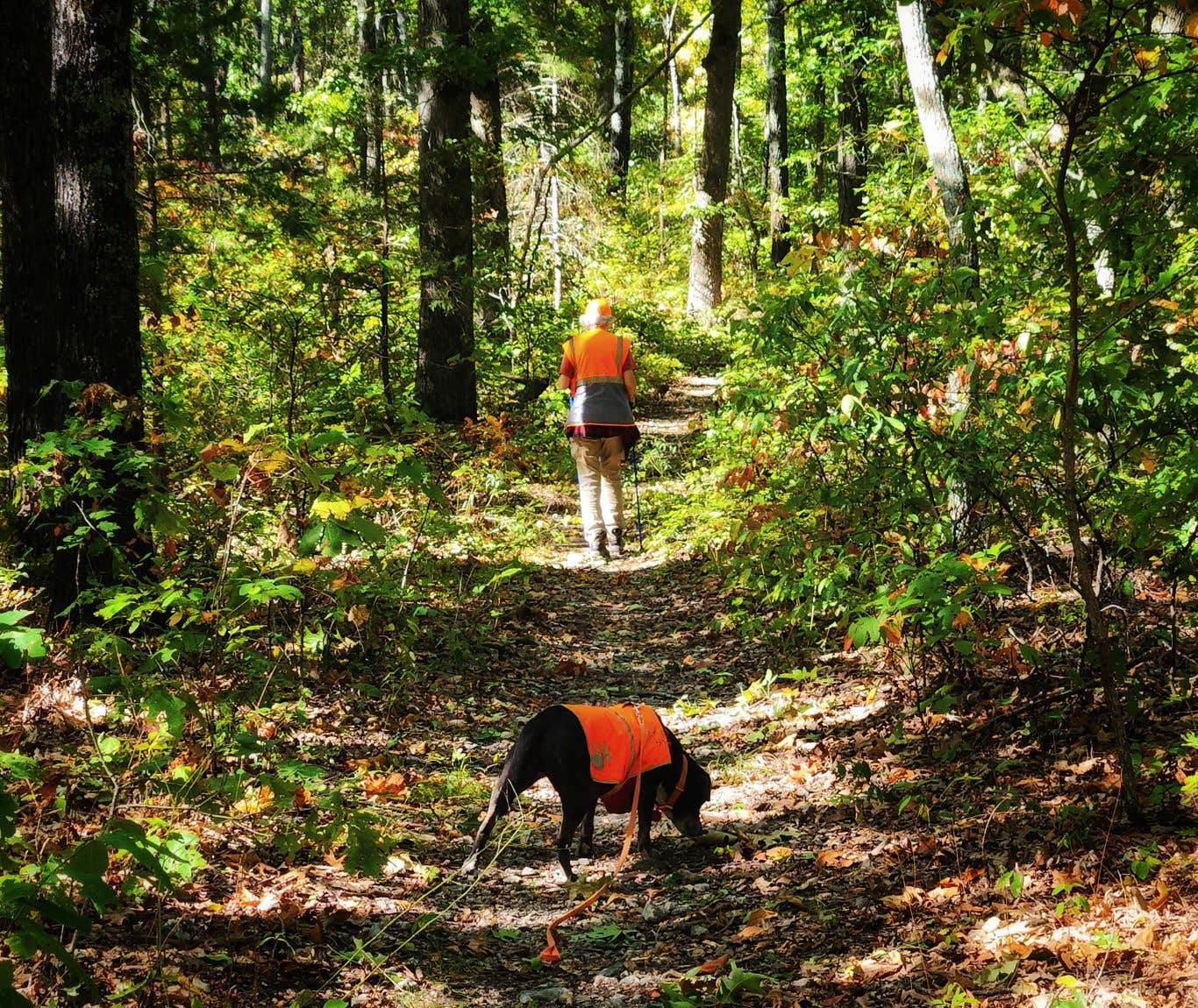 Camper-submitted photo at Hercules Glades (Watch Tower) near Buffalo National River