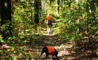 Fred S.'s photo of camping with pets at Hercules Glades (Watch Tower) near Kirbyville, MO