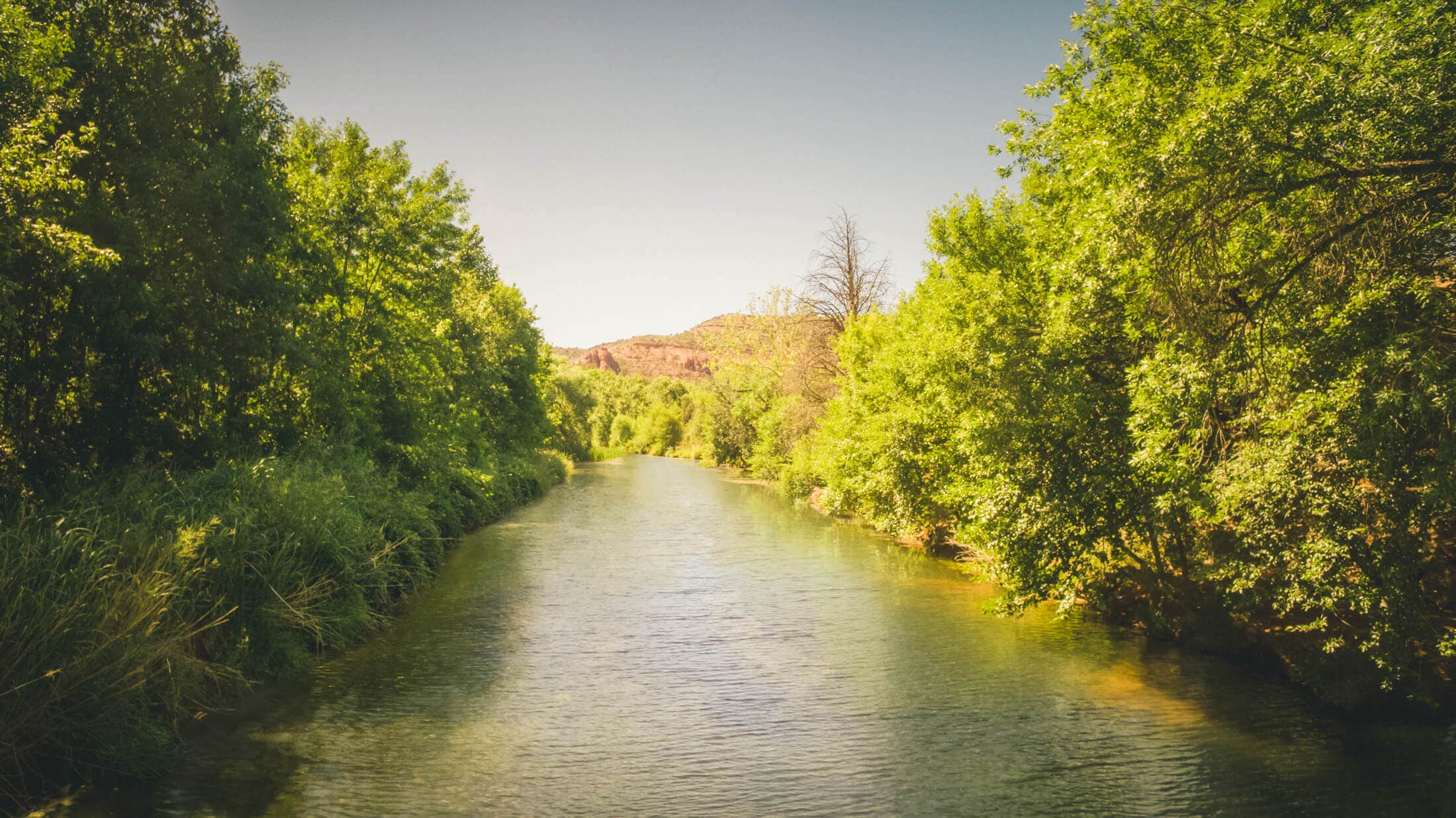 Camper submitted image from Camp Avalon Spiritual Nature Retreat - 1