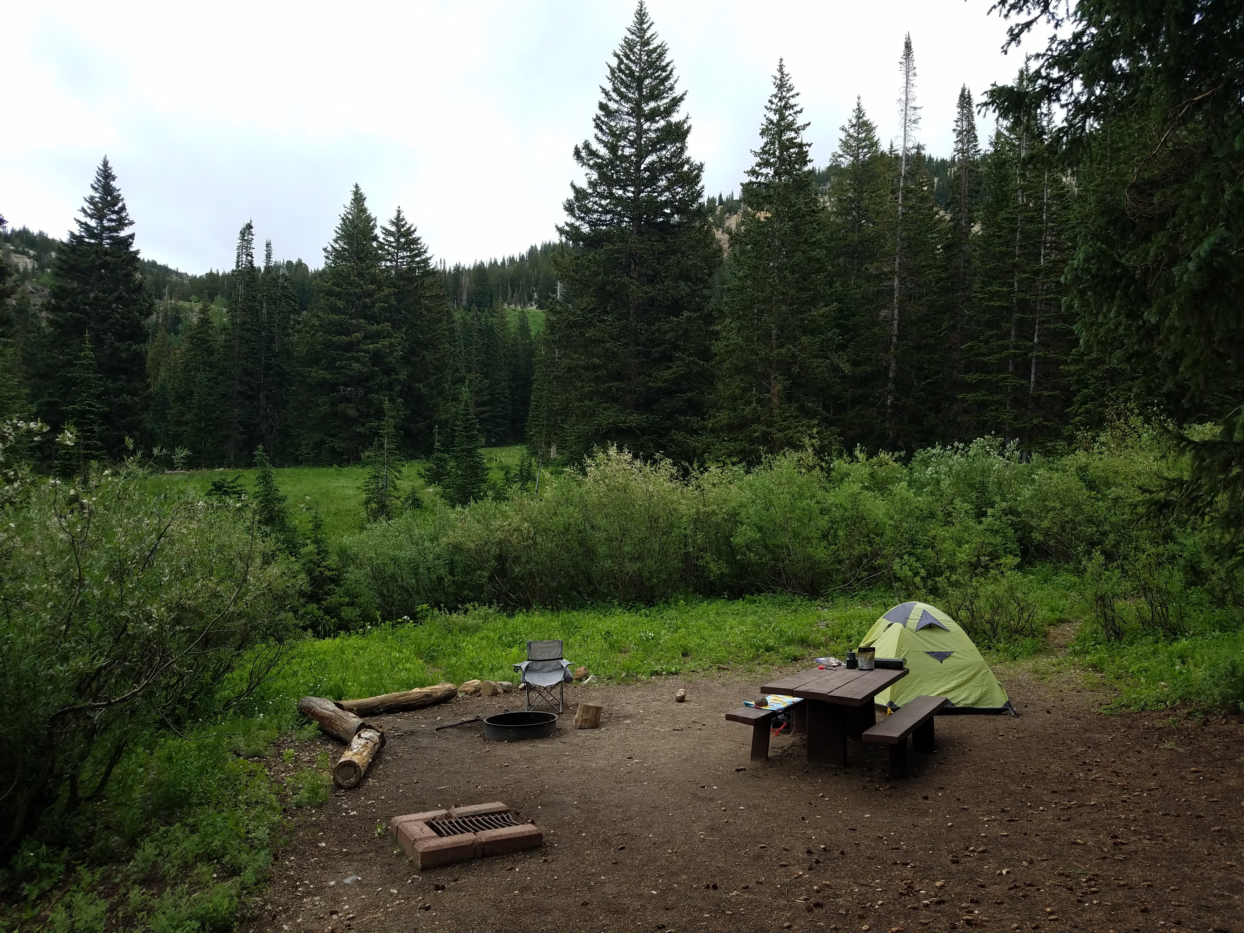 Camper submitted image from Albion Basin - 4