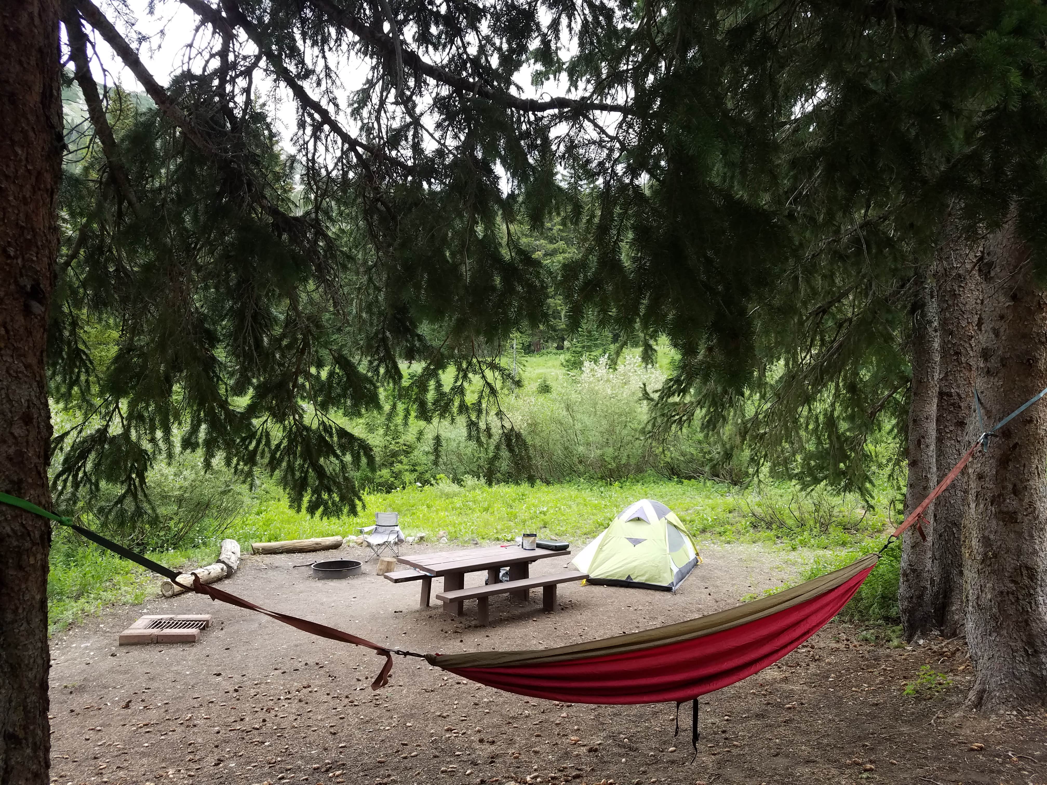 Camper submitted image from Albion Basin - 2