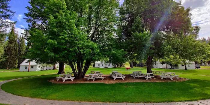 Camper submitted image from Savenac Cookhouse