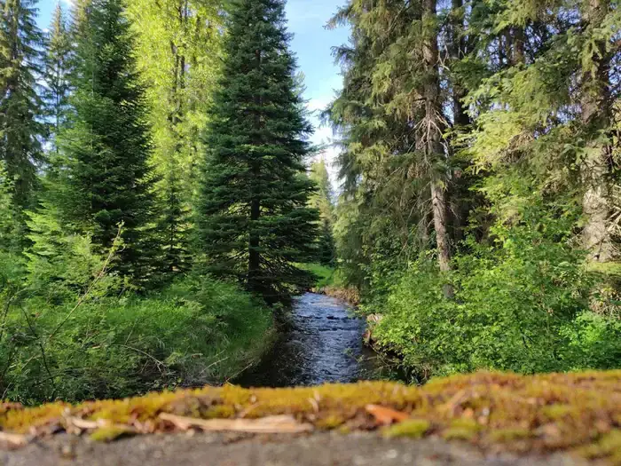 Camper-submitted photo at Savenac Cookhouse near De Borgia, MT