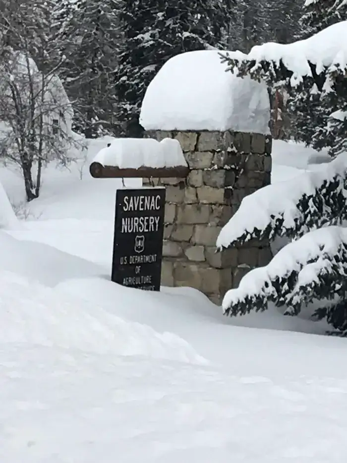 Camper-submitted photo at Savenac Cookhouse near De Borgia, MT