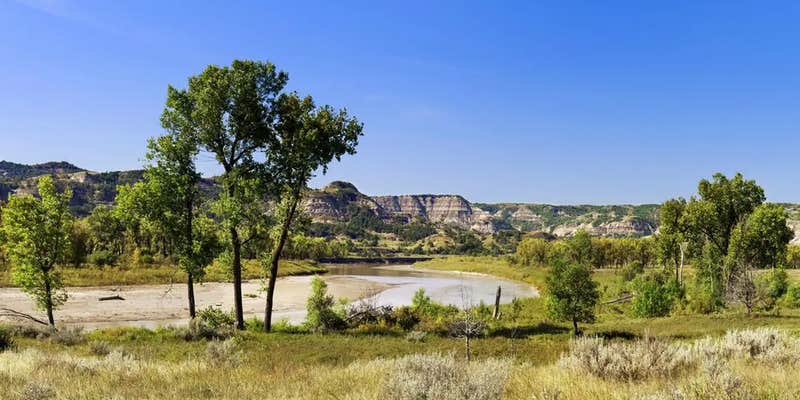 Camper submitted image from Juniper Campground Group Site — Theodore Roosevelt National Park