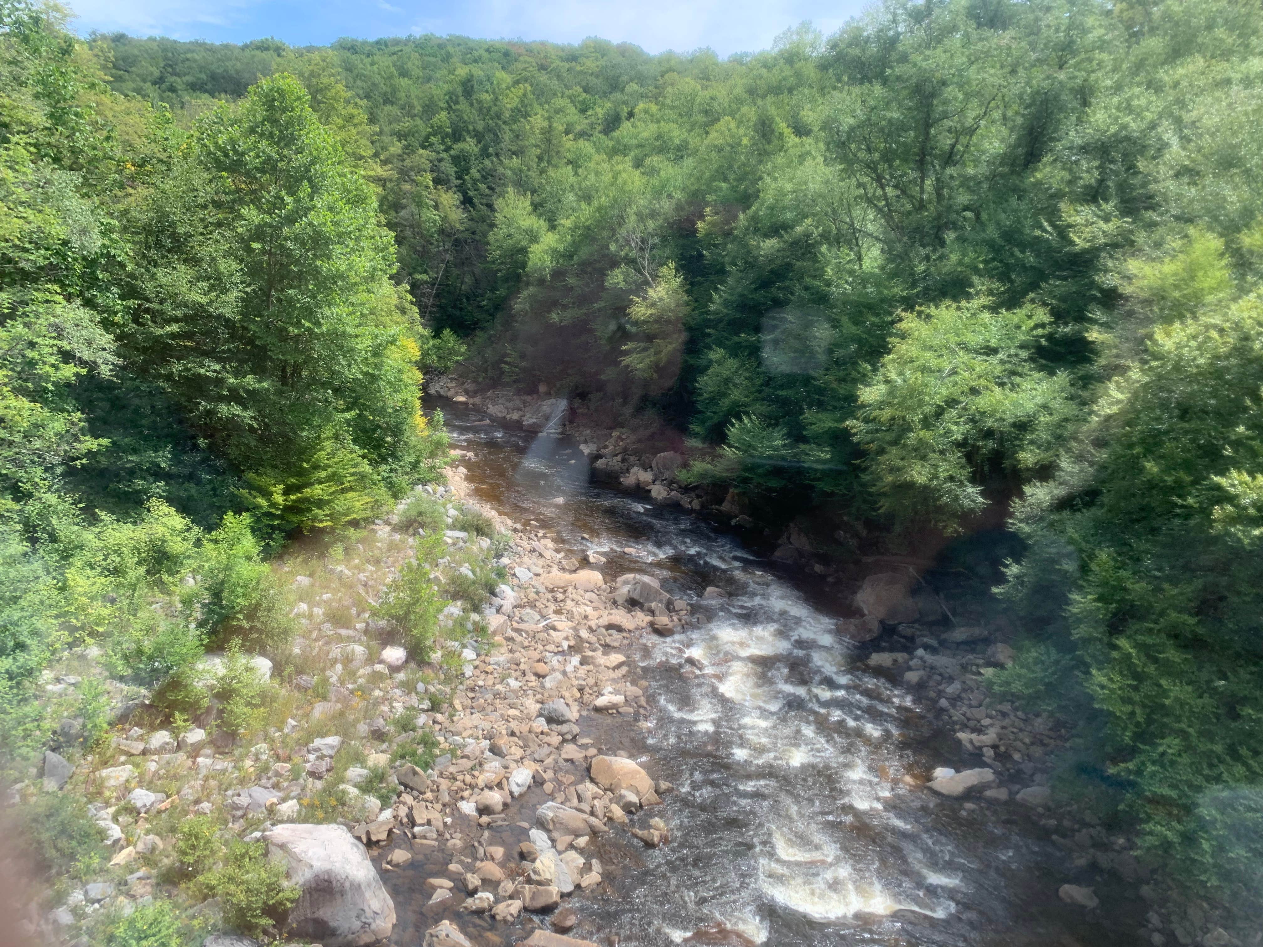 Camper submitted image from Revelle’s River Resort - 2