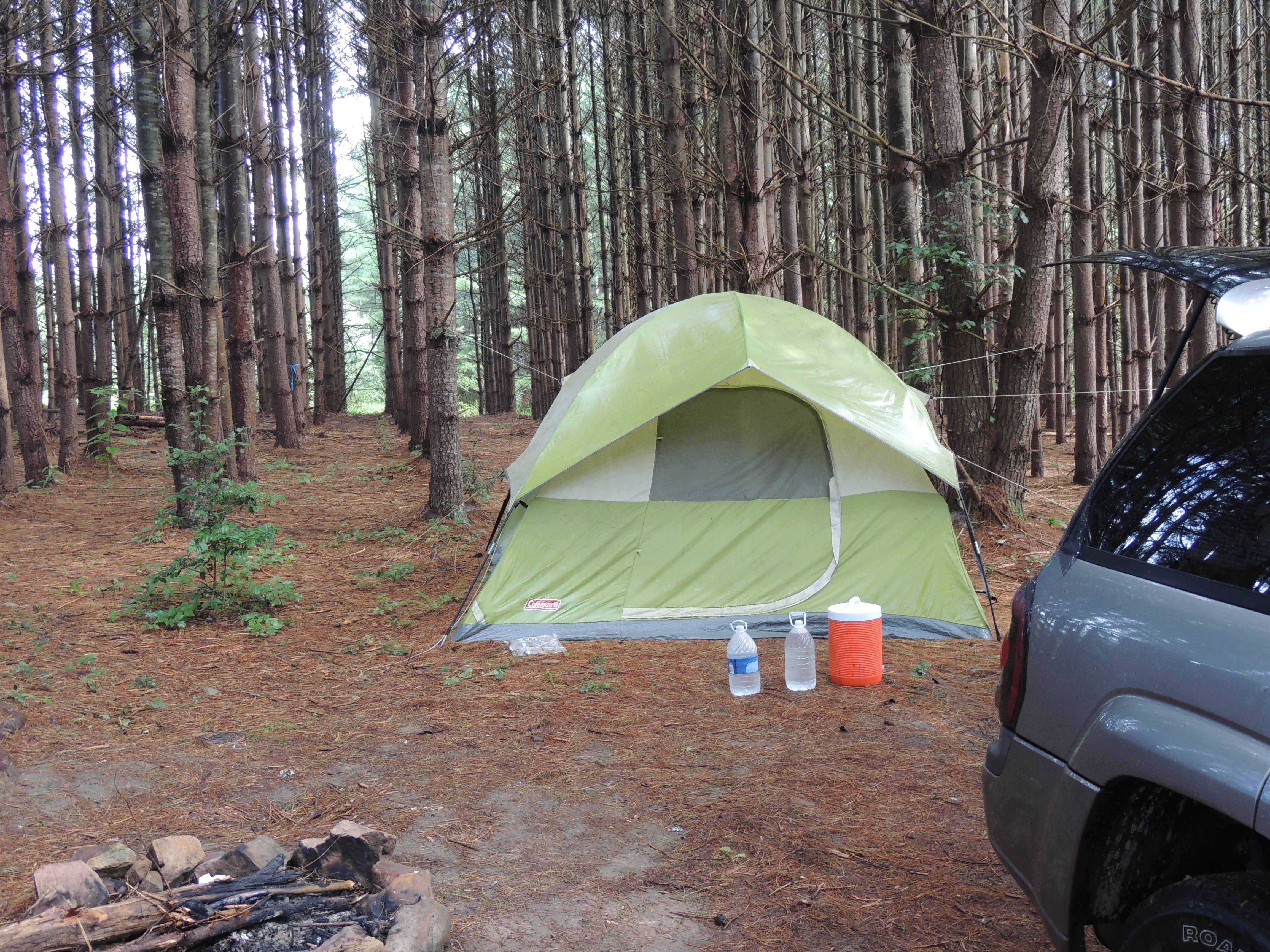 Camper submitted image from Hammock Sway - 2