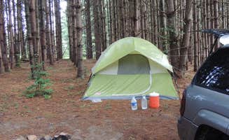 Jeremy H.'s photo at Hammock Sway near Altamont, TN