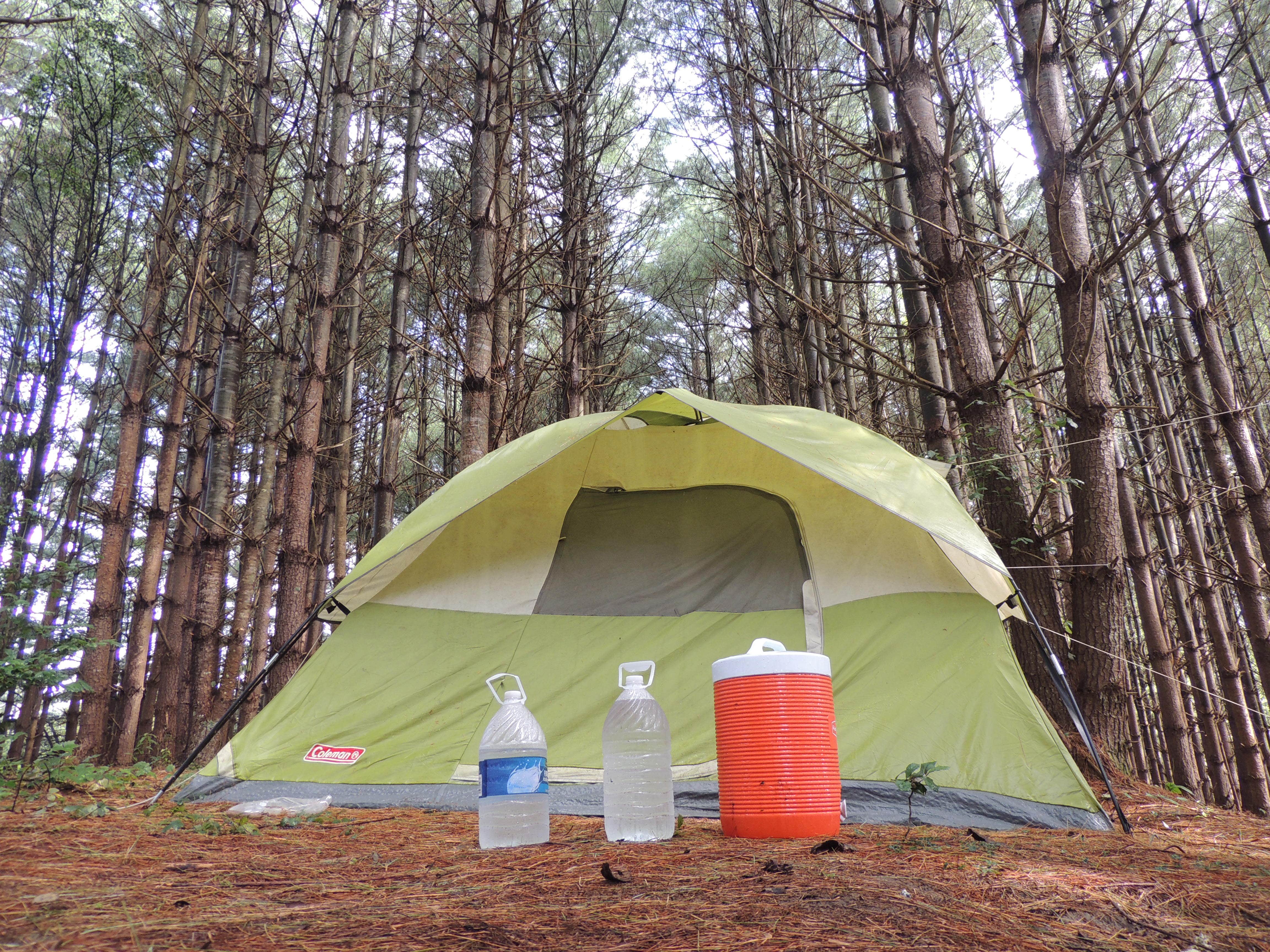 Camper submitted image from Hammock Sway - 5