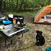 Review photo of West Branch State Park Campground by AJ J., August 10, 2019
