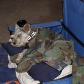 Review photo of Cachuma Lake Recreation Area by Eddie  R., August 11, 2019