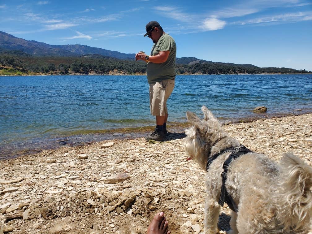 Eddie  R.'s photo of camping with pets at Cachuma Lake Recreation Area near Santa Barbara, CA