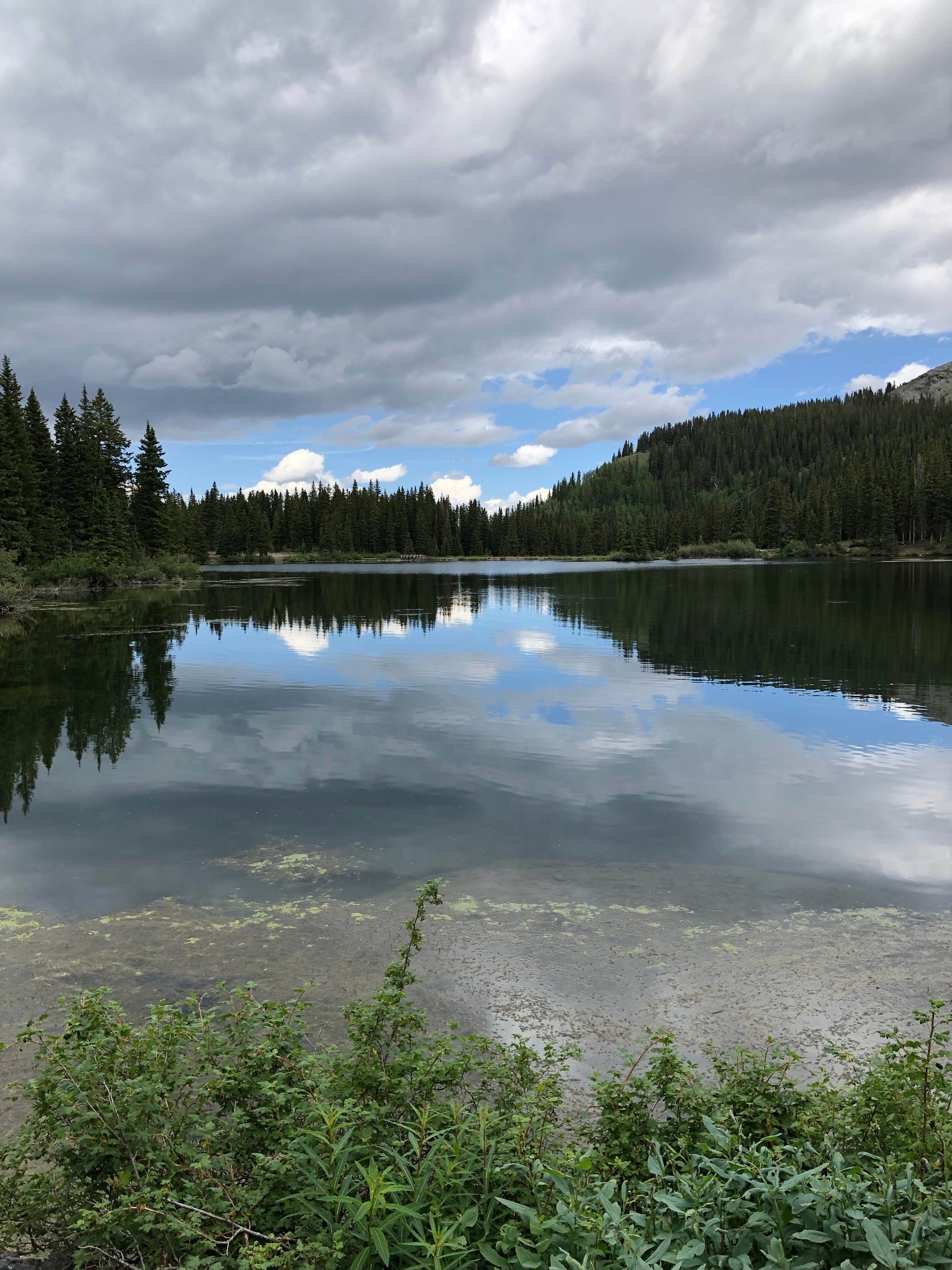 Amber W.'s photo of a dispersed camping area at Alta Lakes Campground (Dispersed) near Ridgway, CO