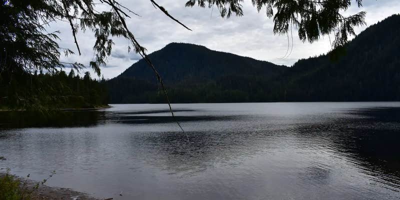 Camper submitted image from Plenty Cutthroat Cabin