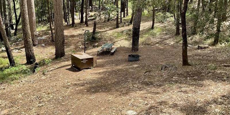 Camper submitted image from Sheep Camp Primitive Campground — Whiskeytown-Shasta-Trinity National Recreation Area