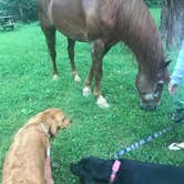 Review photo of Stacked Stones Retreat and Horse Camp — Hocking State Forest by AJ J., August 10, 2019