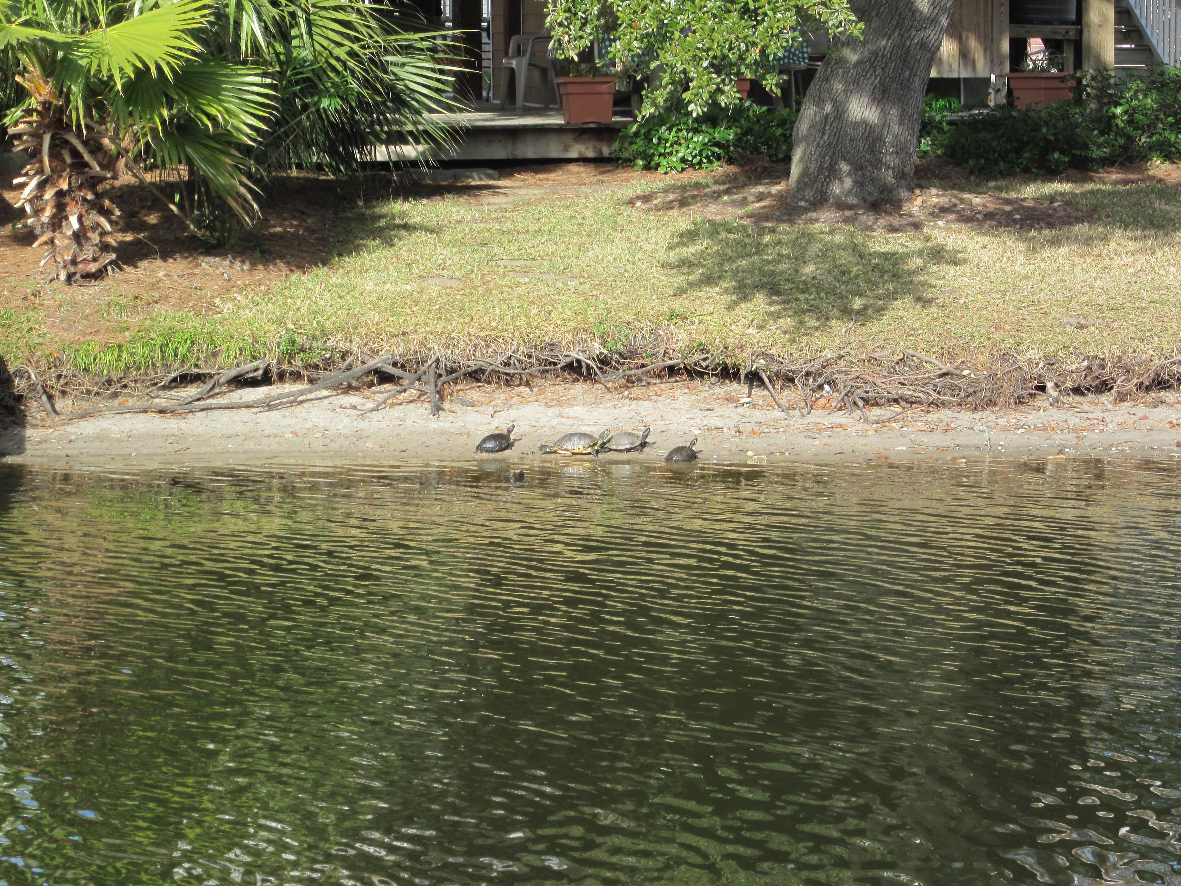 Camper-submitted photo at Ocean Lakes Family Campground in South Carolina