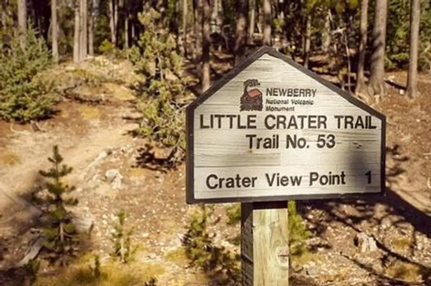 Camping near East Lake Campground: Little Crater Campground, La Pine, Oregon