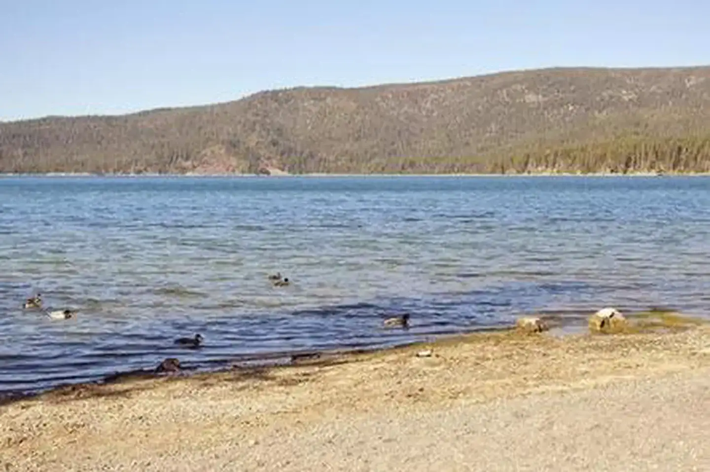 Camper-submitted photo at Little Crater Campground near Sunriver, OR