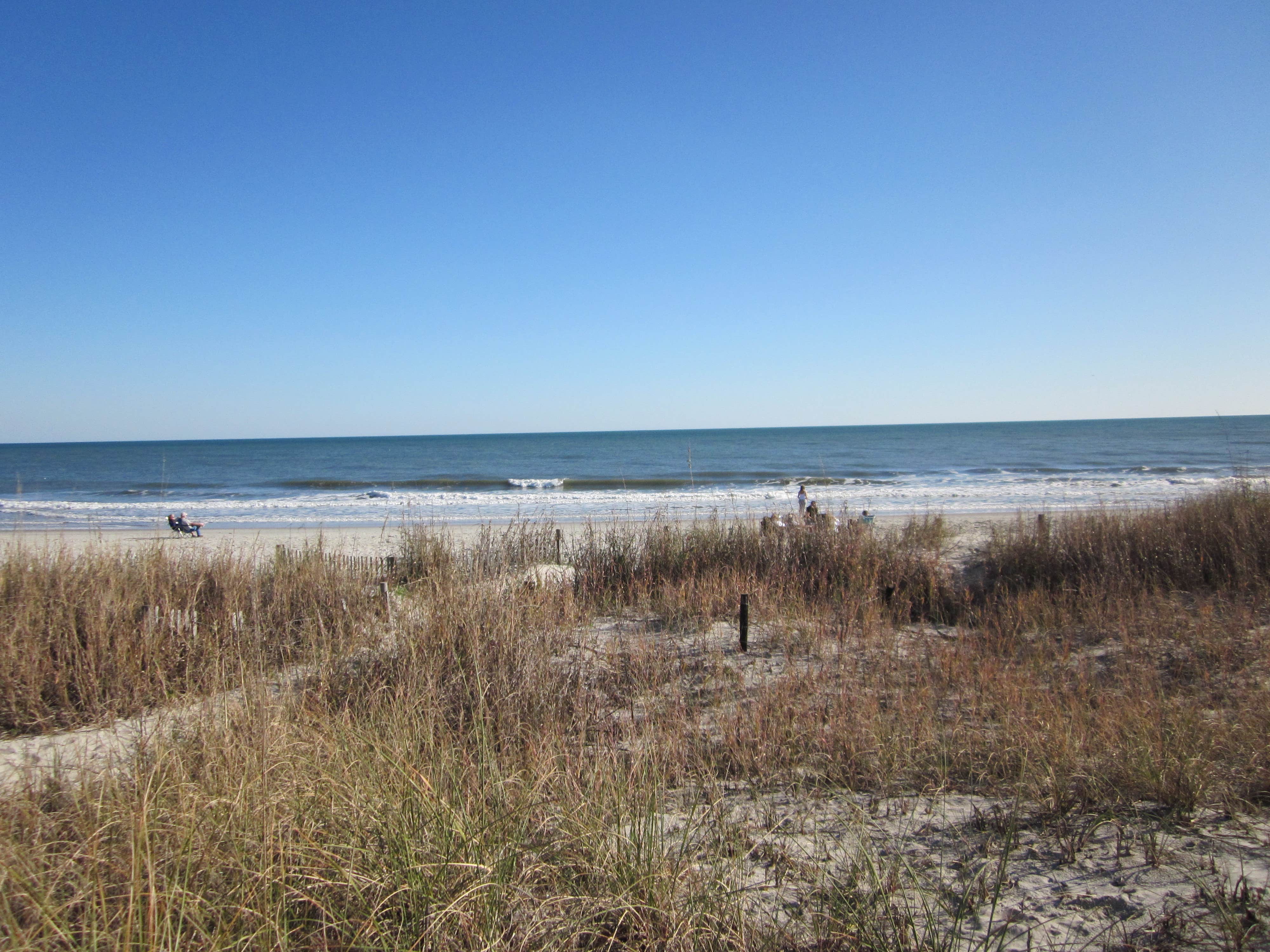 Camper submitted image from Ocean Lakes Family Campground - 4