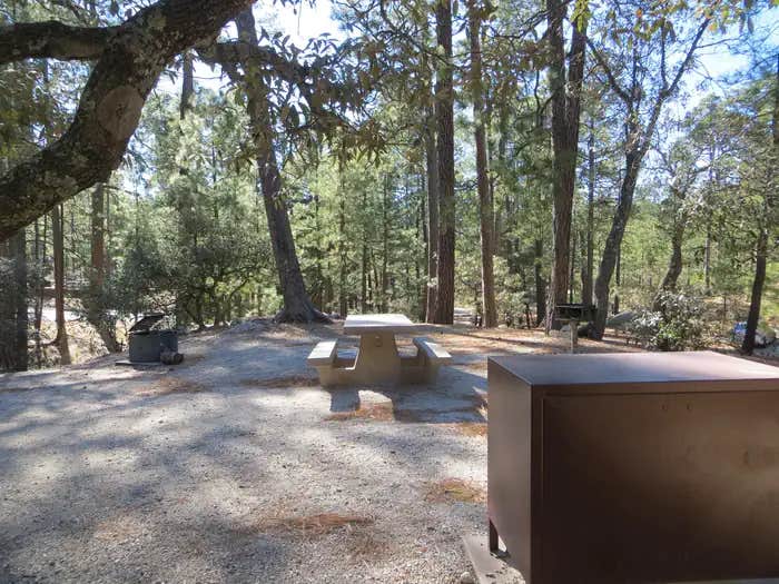 Camper submitted image from Rose Canyon Campground - 1