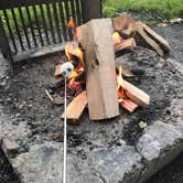 Review photo of Lewis Mountain Campground — Shenandoah National Park by Matthew D., August 11, 2019