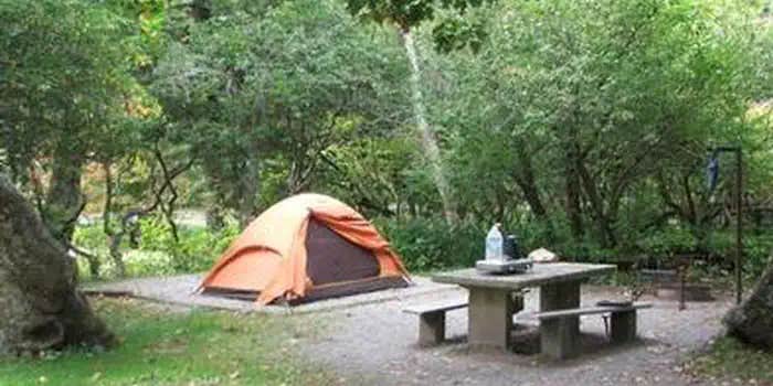Camper submitted image from Mount Pisgah Campground