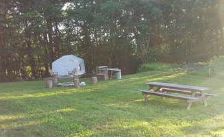 The Dyrt's photo at Liberty Hill Camp near Bendersville, PA