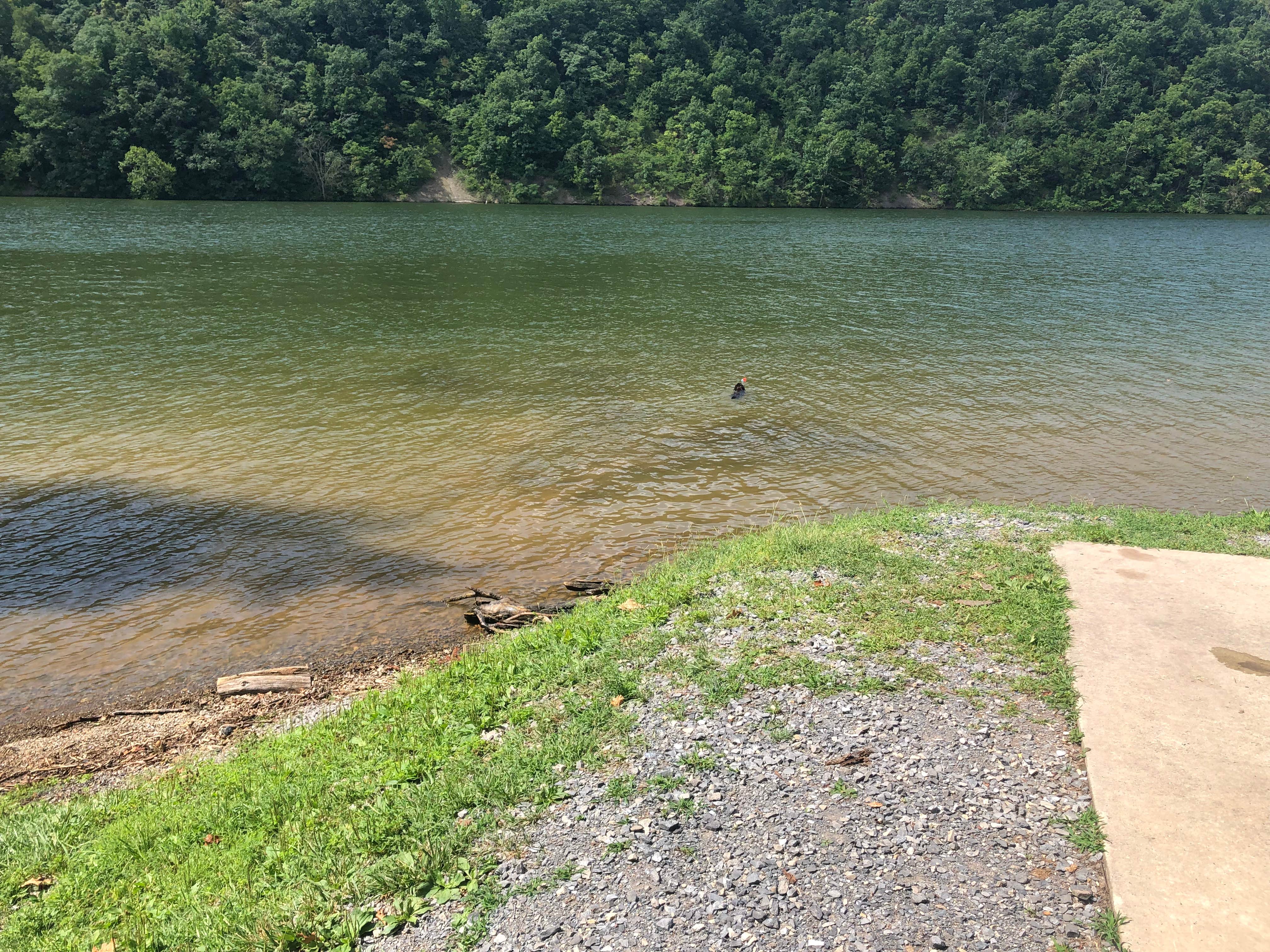 Water site on Poplar. This had the most level area where you’d step out of your camper out of all of them.