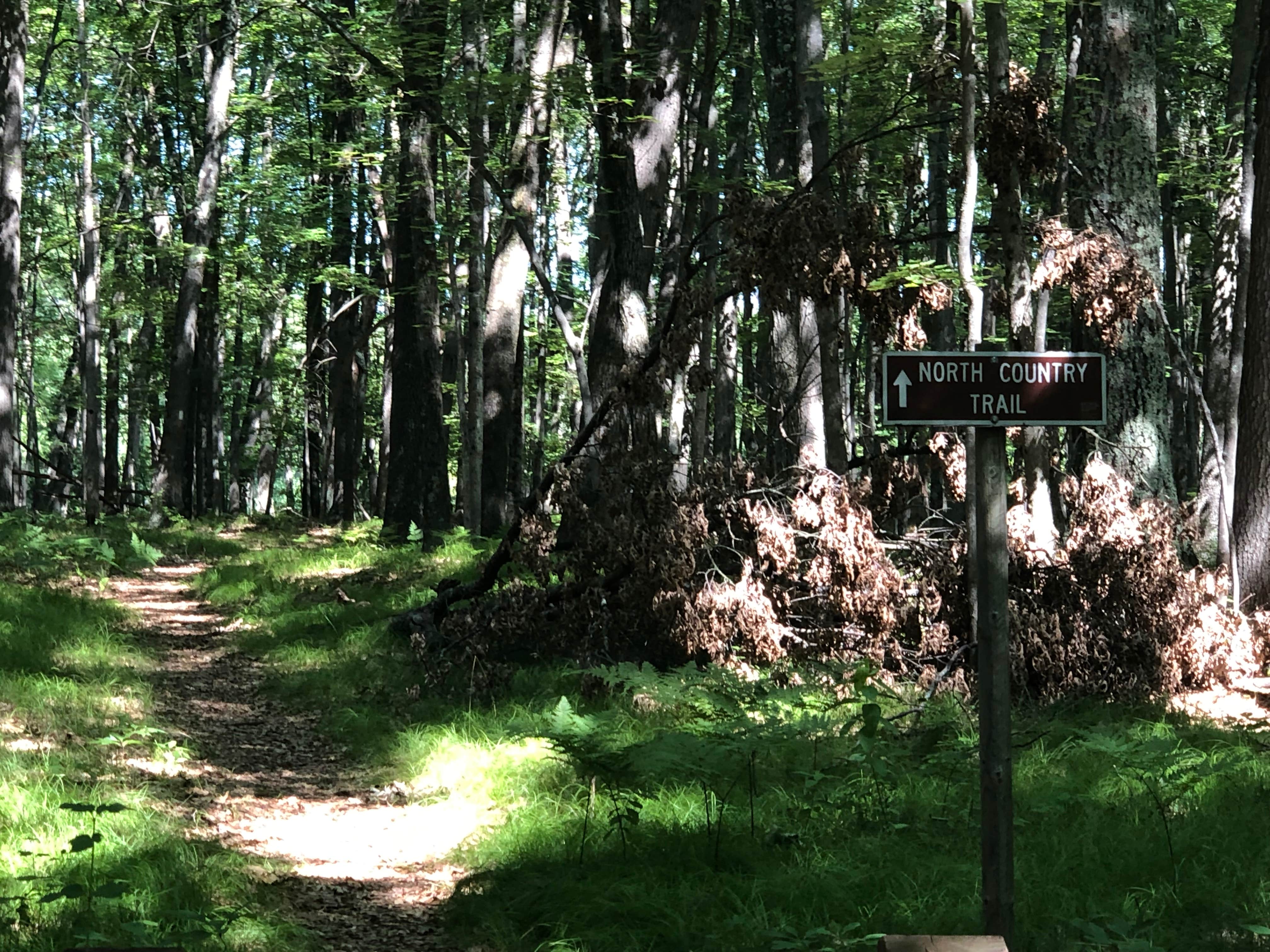 Camper-submitted photo at Highbank Lake Campground near Hesperia, MI