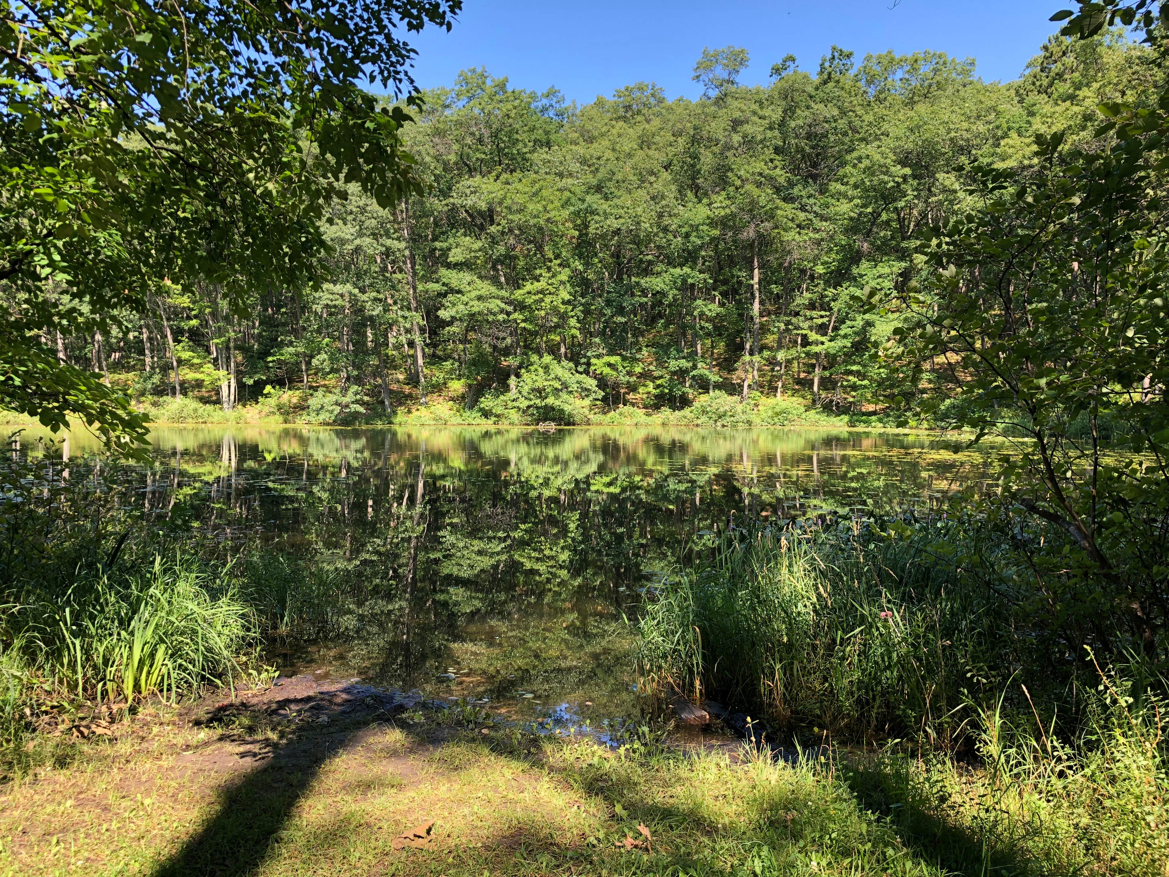Camp right at the small lake