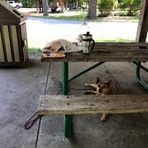 Review photo of Dunewood Campground — Indiana Dunes National Park by Art S., August 11, 2019