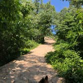 Review photo of Dunewood Campground — Indiana Dunes National Park by Art S., August 11, 2019