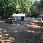 Review photo of Dunewood Campground — Indiana Dunes National Park by Art S., August 11, 2019