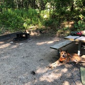 Review photo of Dunewood Campground — Indiana Dunes National Park by Art S., August 11, 2019