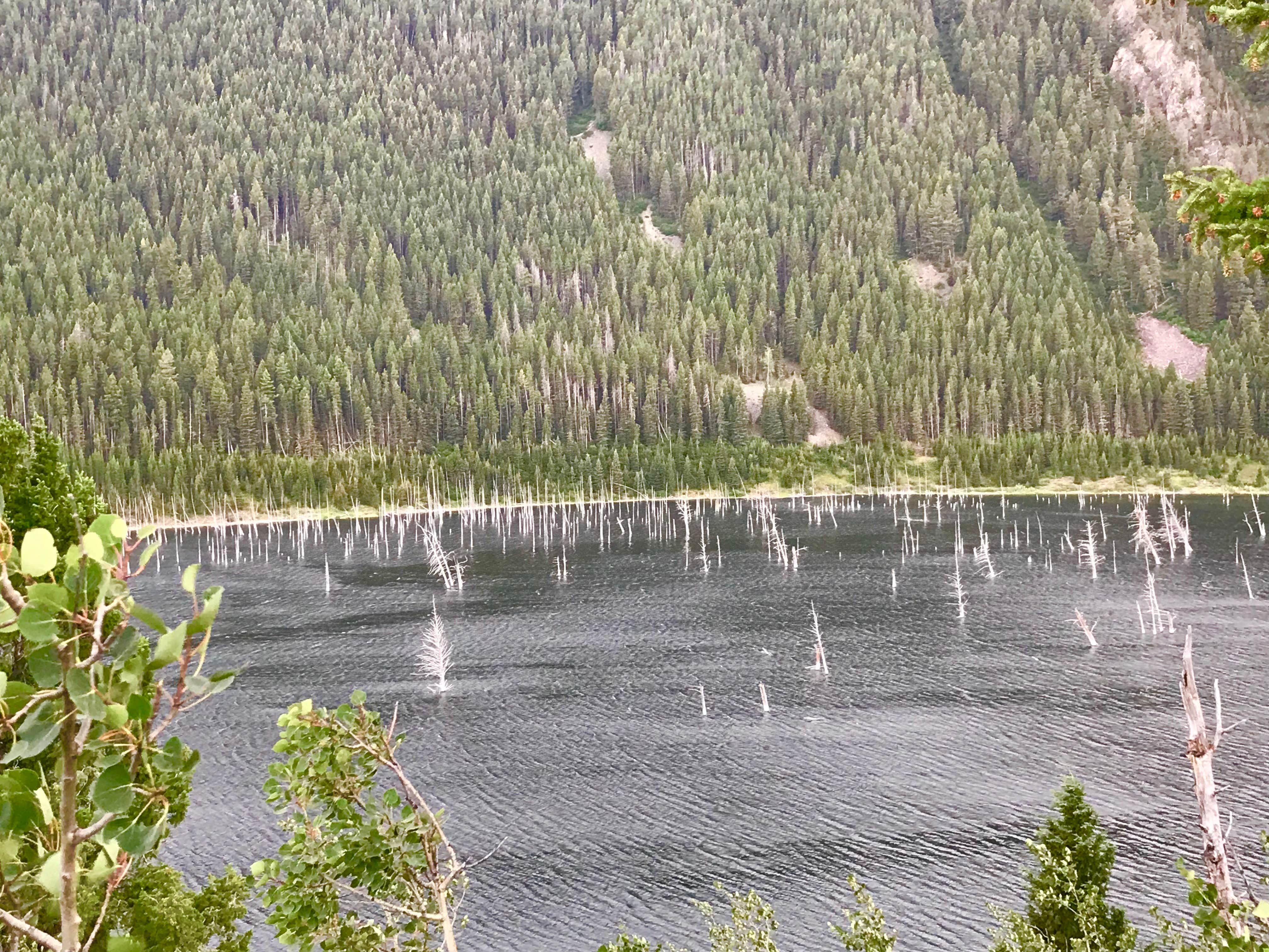 Camper-submitted photo at Beaver Creek near Heart Butte, MT